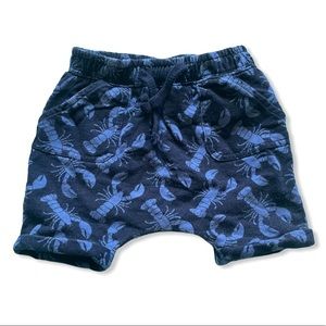 Old navy baby blue crab shorts